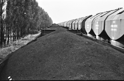DIA 20200311 0039
