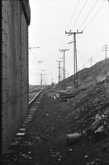DIA 20200311 0124