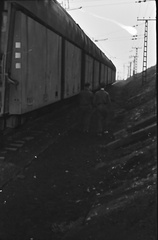 DIA 20200311 0129