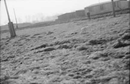 DIA 20200319 0006
