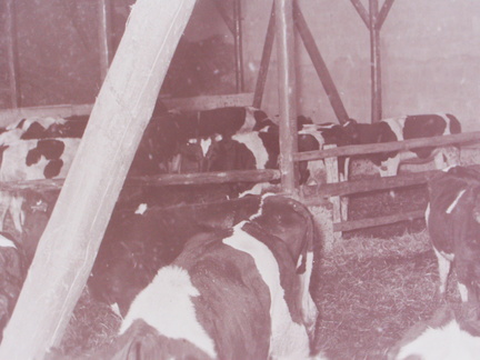 PICT1944