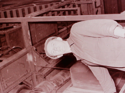 PICT1951
