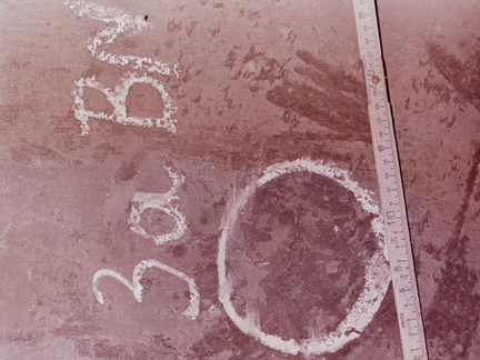 PICT1953