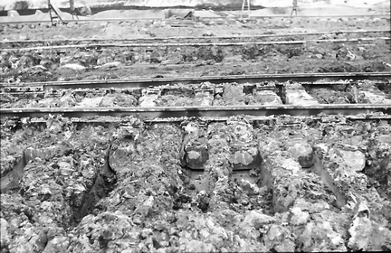 DIA 20200411 0050