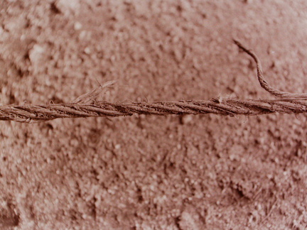 120606 3818