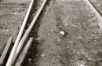 DIA 20200805 0282