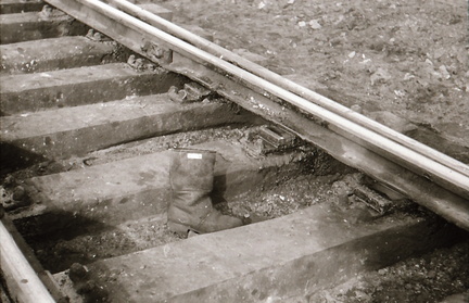 DIA 20200805 0284
