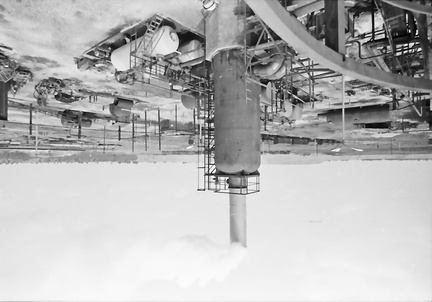 DIA 20200503 0319