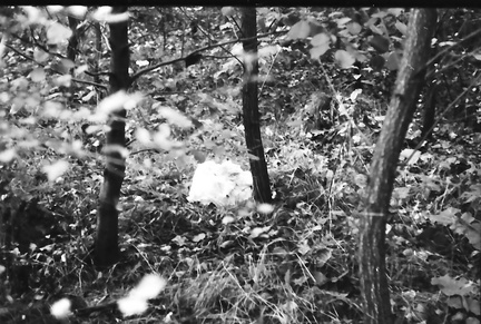 DIA 20200510 0092