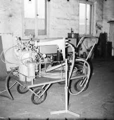 IMG 0110