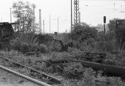 DIA 20200531 0049
