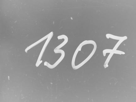 PICT3767