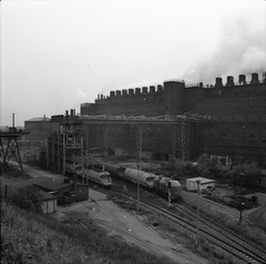 IMG 0043