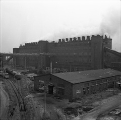 IMG 0044