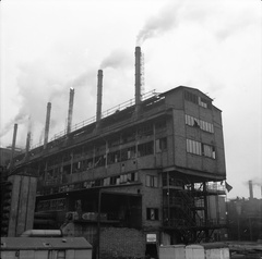 IMG 0045