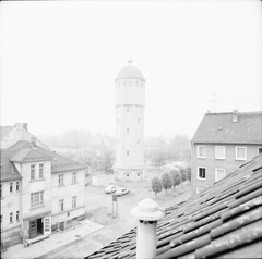 IMG 0229