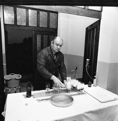 IMG 0013