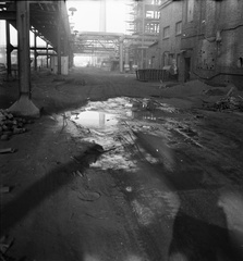 IMG 0176
