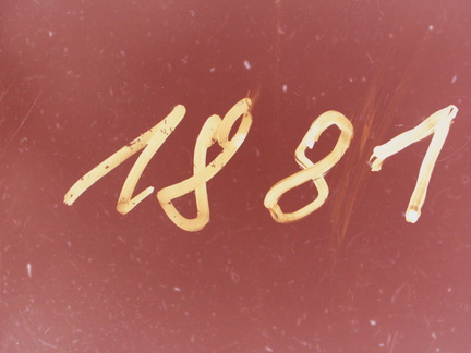 120606 2273
