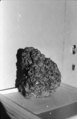 IMG 0049