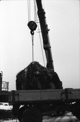 IMG 0124