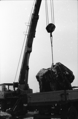 IMG 0125